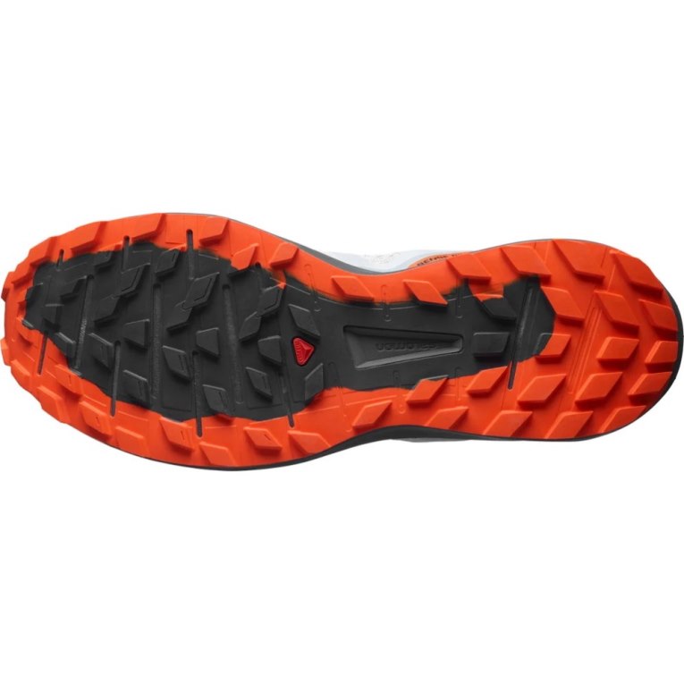 Salomon Sense Ride 4 Trailove Bezecke Tenisky Panske Siva | SK 5TLJDC